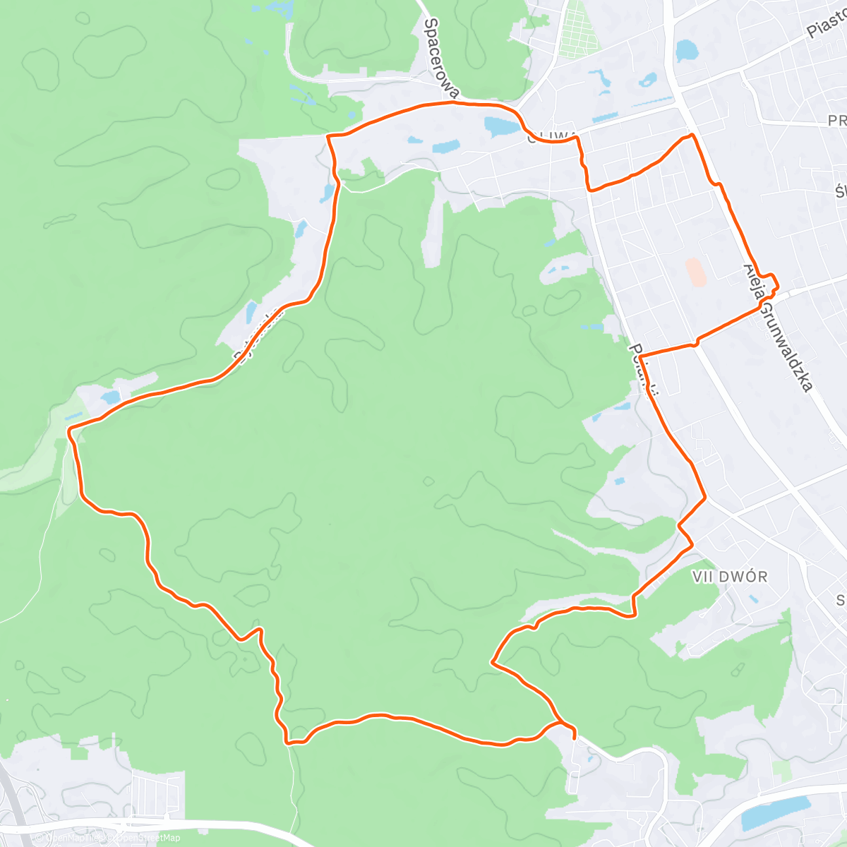 Map of the activity, II trening - easy 1️⃣4️⃣ km