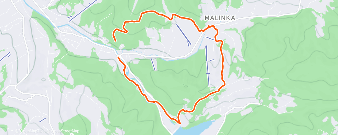 Карта физической активности (Morning Walk)