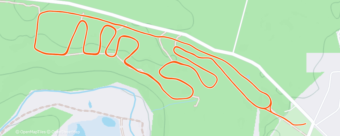 Карта физической активности (Morning Nordic Ski)