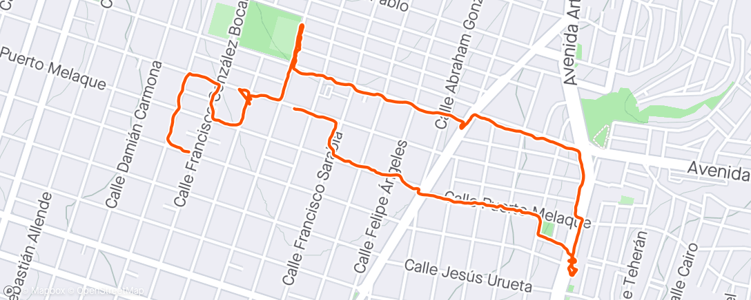 アクティビティ「Caminando 🚶🚶🚶」の地図