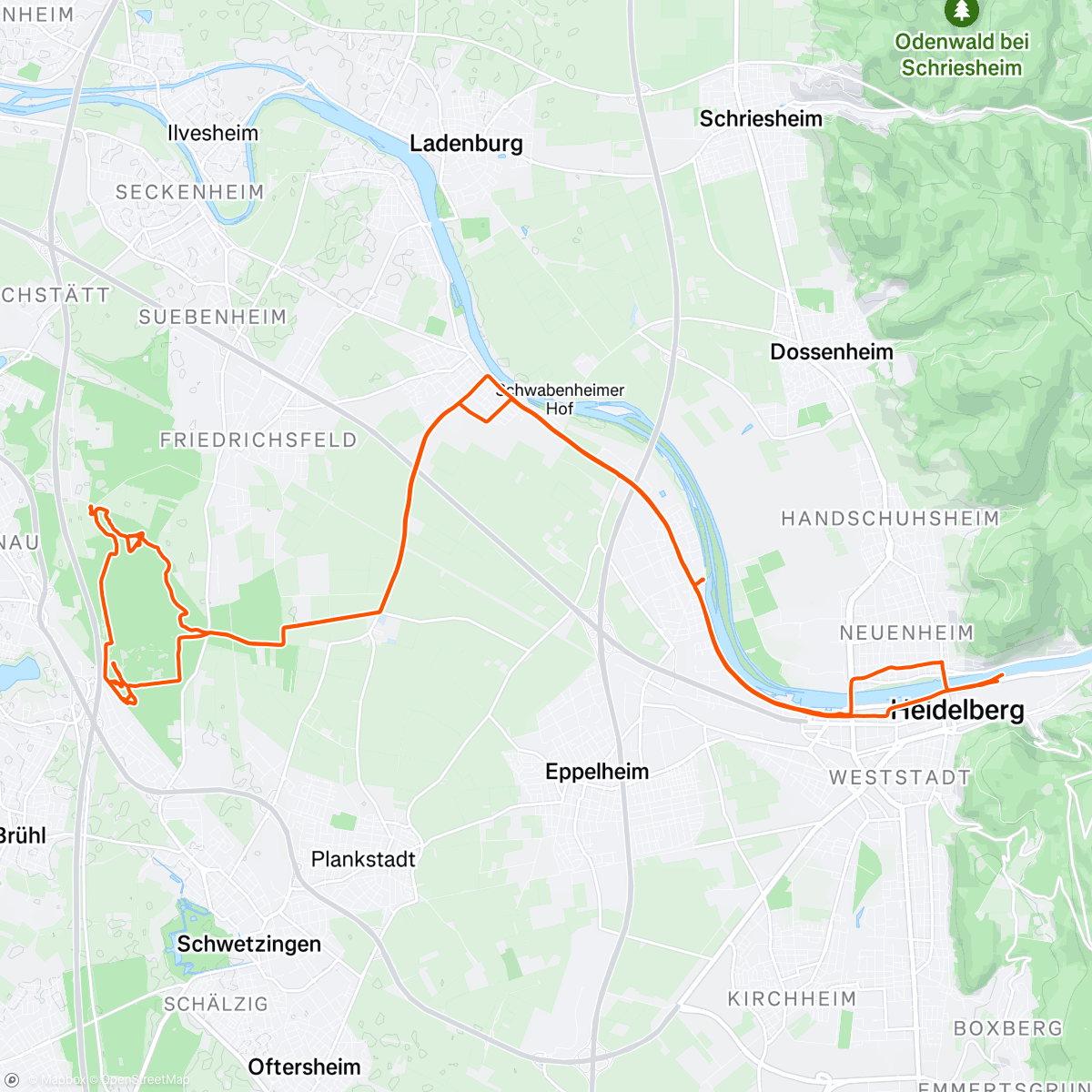 アクティビティ「Cross Cross Cross」の地図