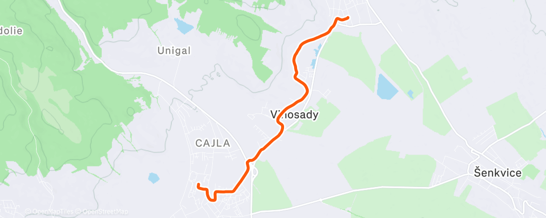 Карта физической активности (Afternoon Walk)