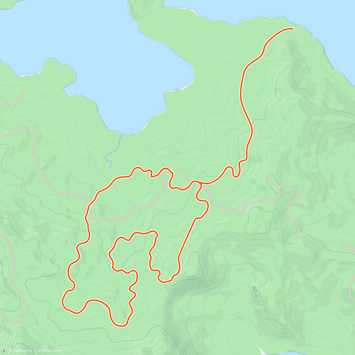 Map of the activity, Zwift - Alex speed 1 in Watopia