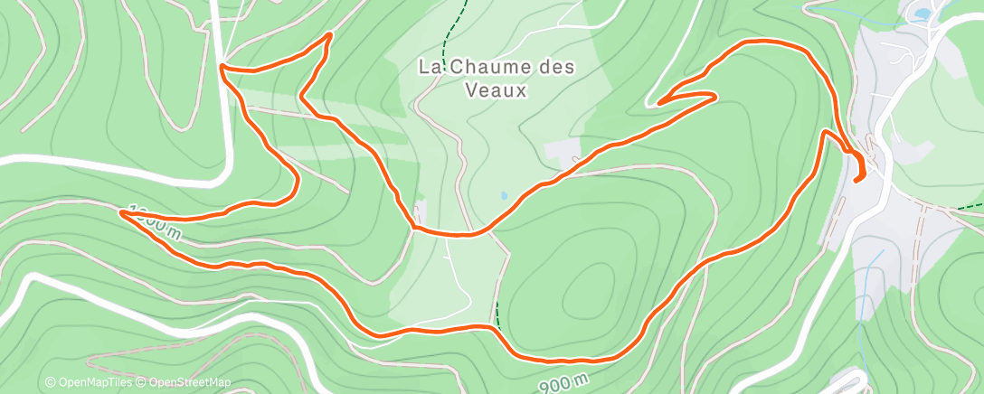 Карта физической активности (Afternoon Walk)