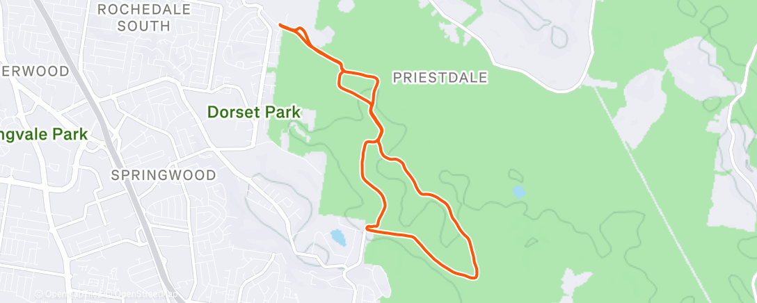 Map of the activity, Morning Run