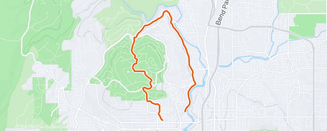 Карта физической активности (Morning Run)