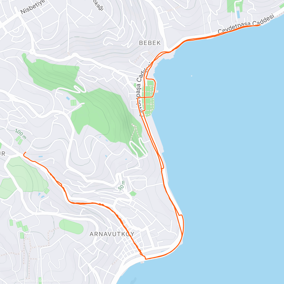 Map of the activity, taking melo on a stroll 🌊