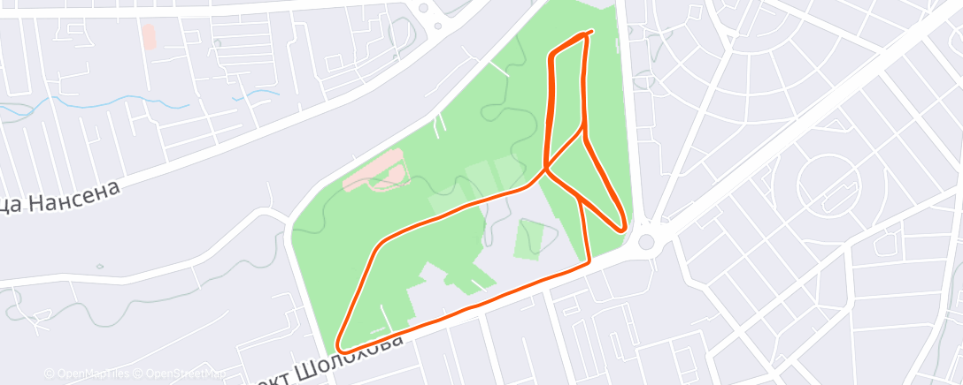 Карта физической активности (Полуденный забег)