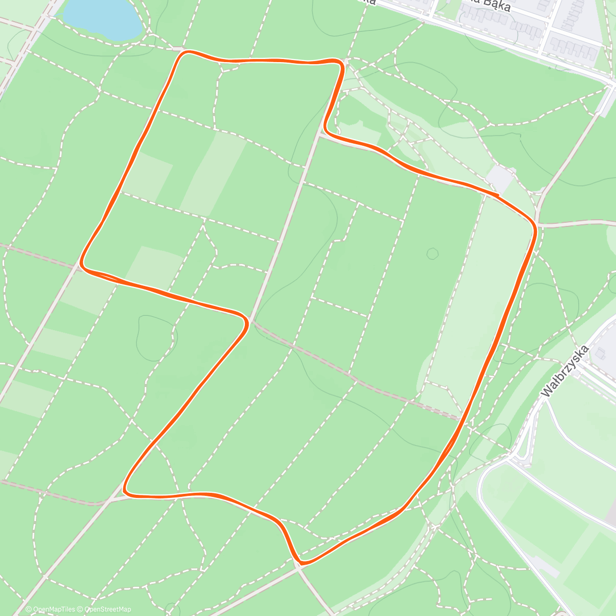 Карта физической активности (Parkrun)