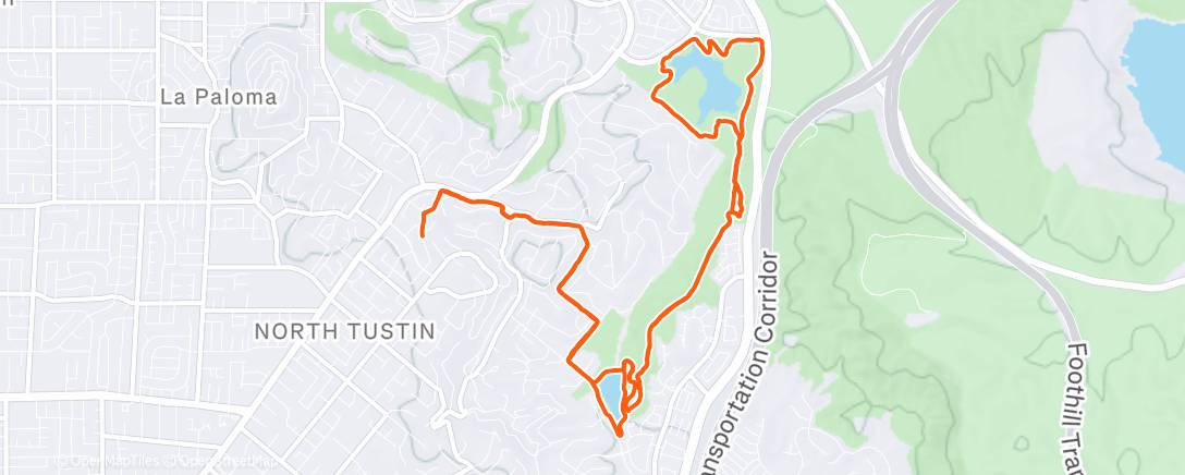 Карта физической активности (Morning Trail Run)