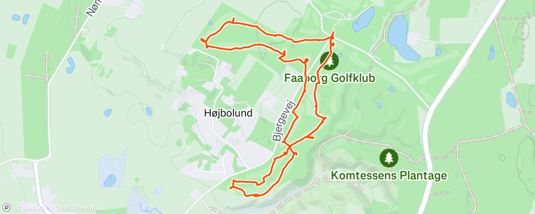Map of the activity, Afternoon Walk