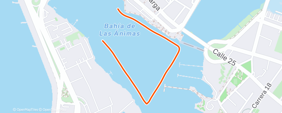 Map of the activity, Morning Swim