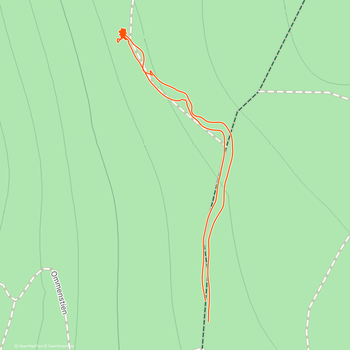 Map of the activity, Godt nytt år!