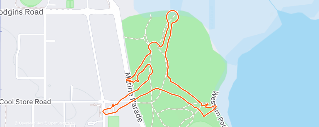 Map of the activity, Michael Jordan 🏀🐐