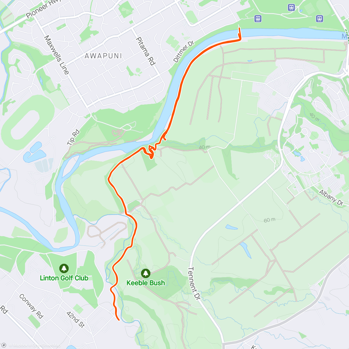 Mapa de la actividad (Palmerston North walk)