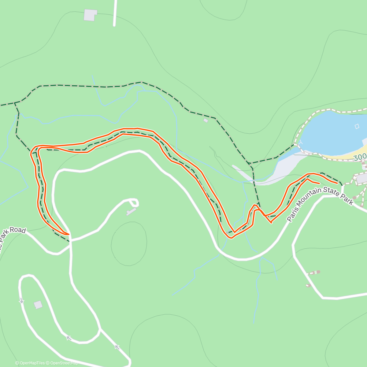 Карта физической активности (Turtle Trail)