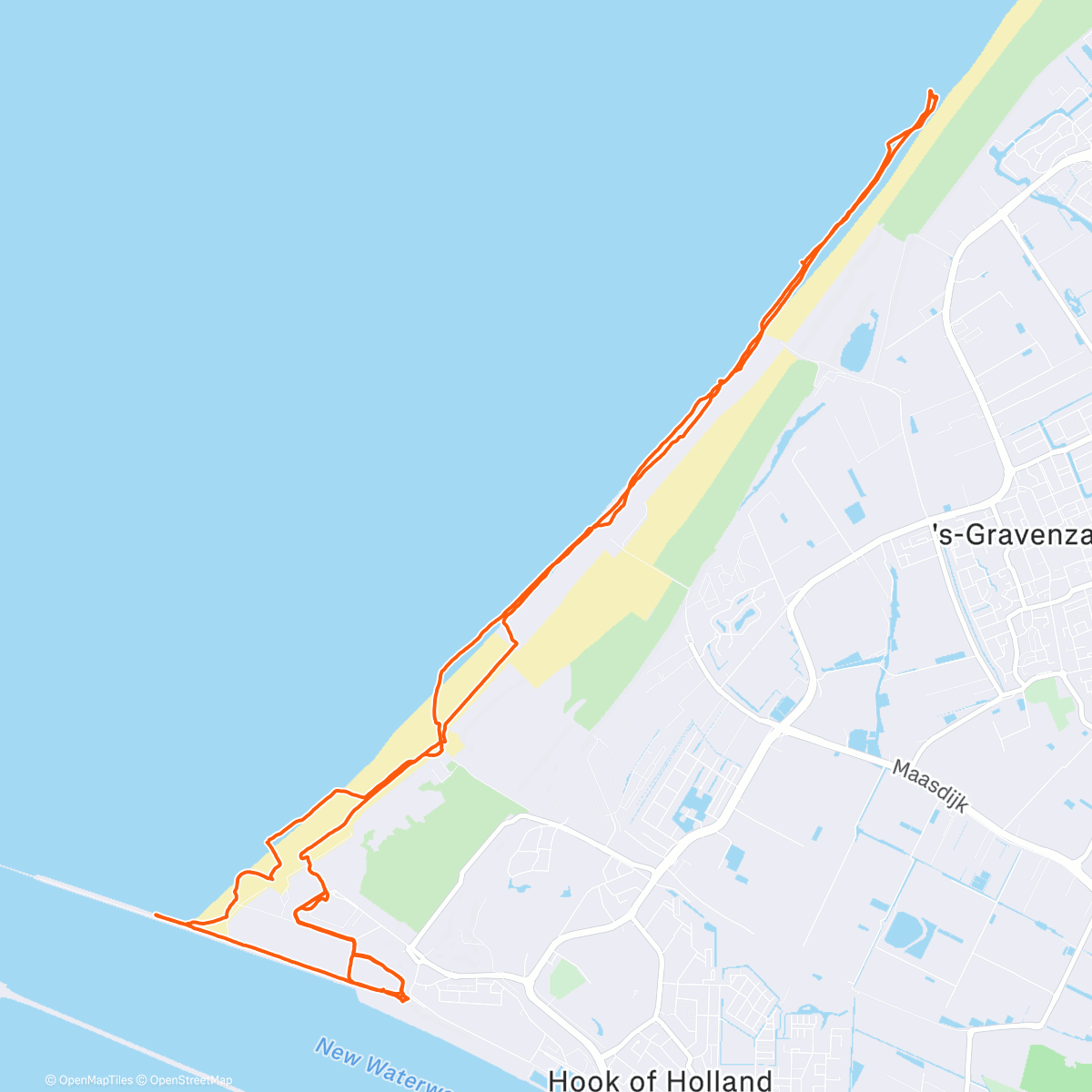 Карта физической активности (Morning Walk)