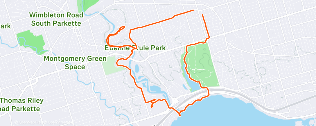 Карта физической активности (Fatty and Catty)