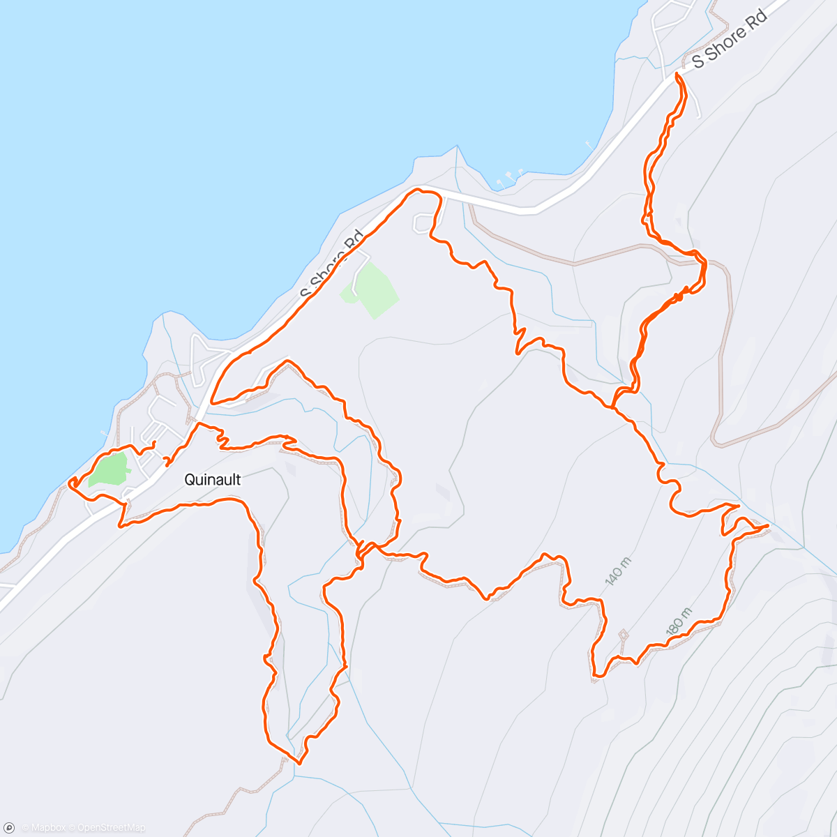 Map of the activity, Lake Quinault trail run