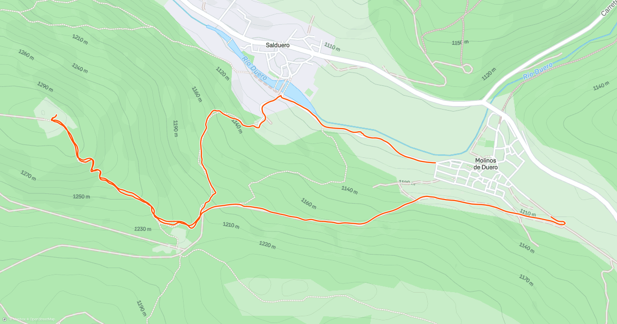 Carrera de tarde | Strava
