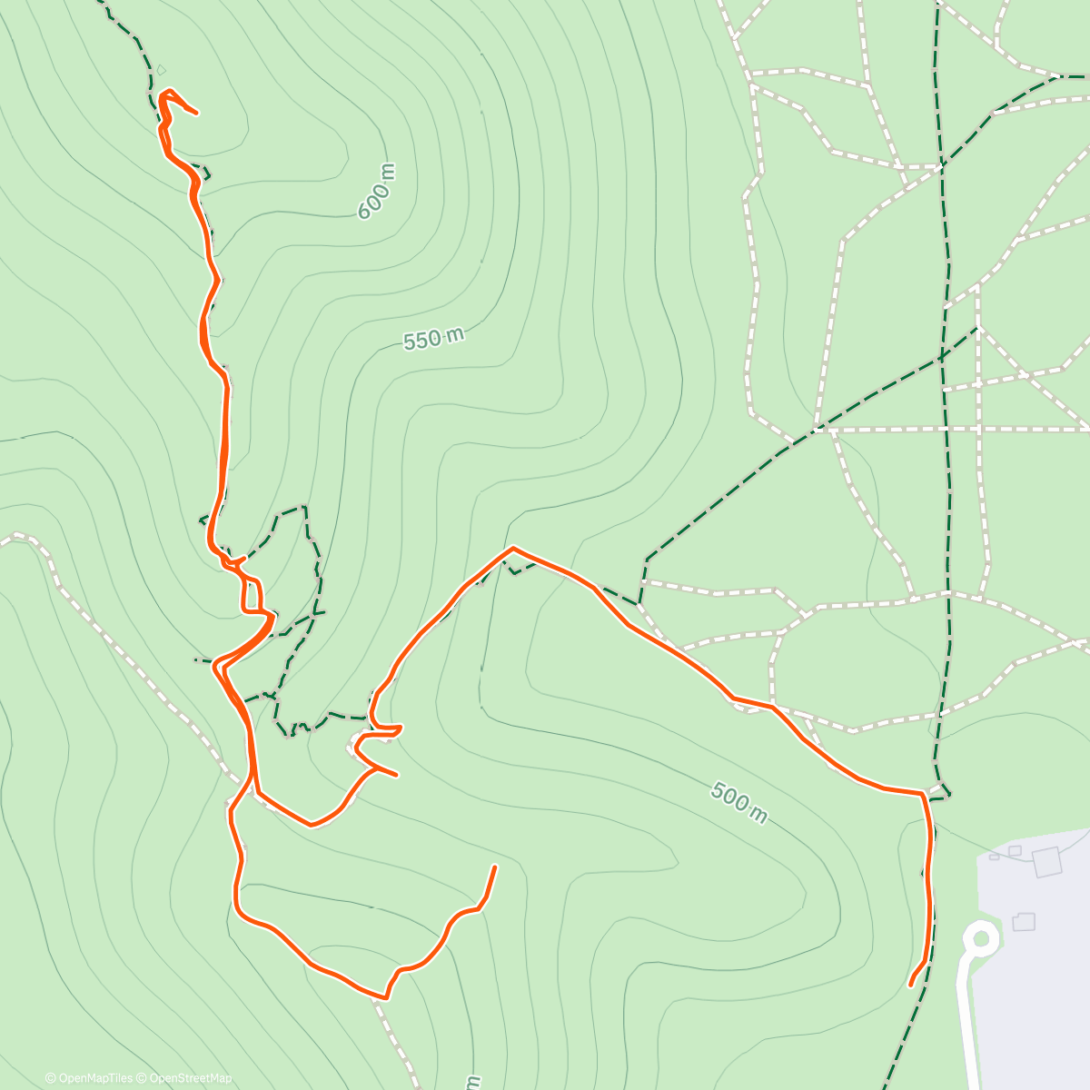 Map of the activity, Morning Hike