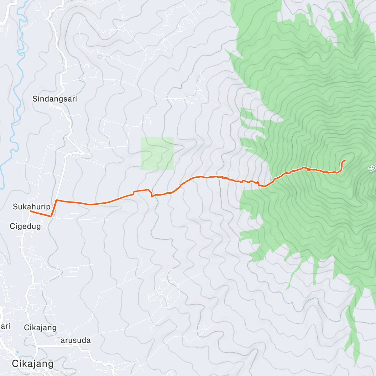 Map of the activity, Morning Trail Run