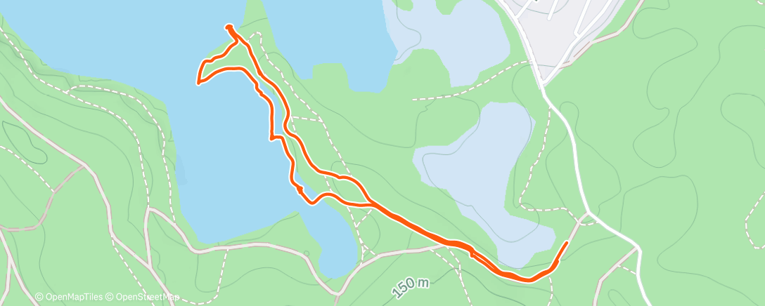 Карта физической активности (Morning Walk)