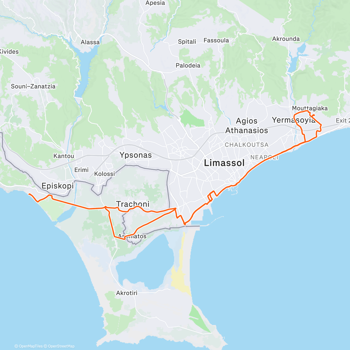 Карта физической активности (Morning Ride with Leo & friends)