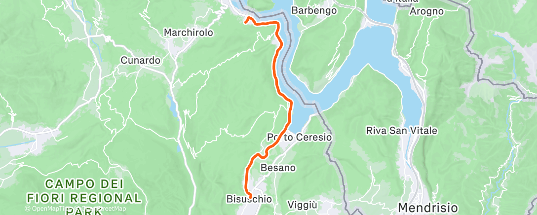 Карта физической активности (1)