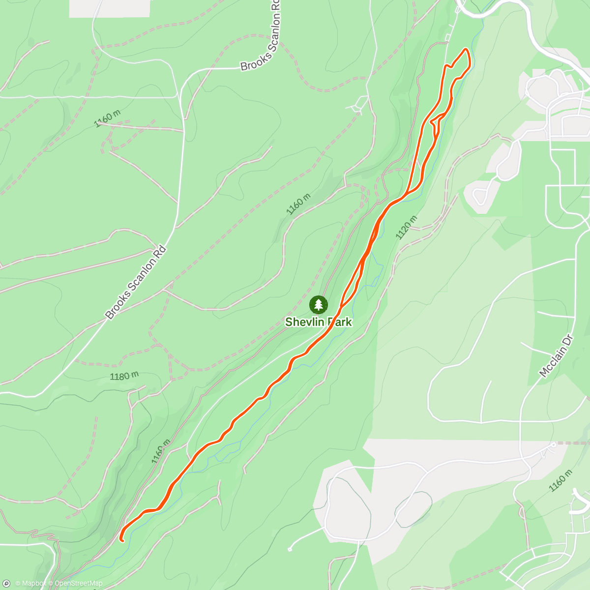 Map of the activity, Shevlin flow