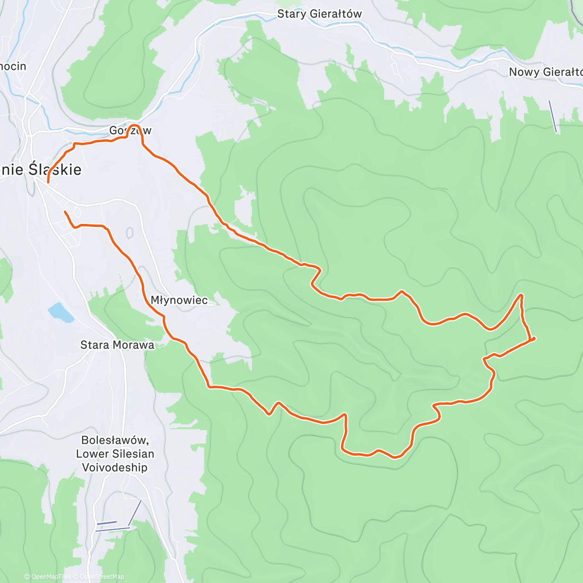 Map of the activity, Morning Hike