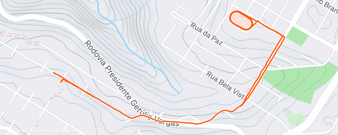 Карта физической активности (Lauf am Morgen)