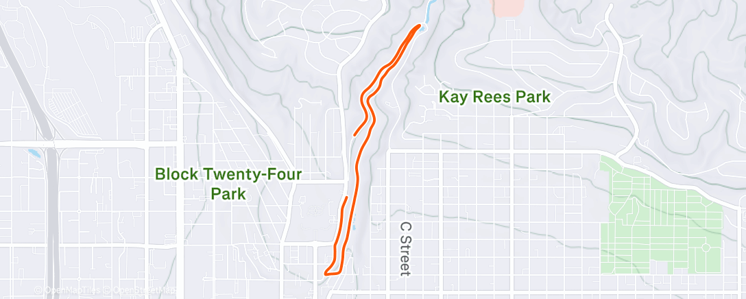 Карта физической активности (Afternoon Walk)