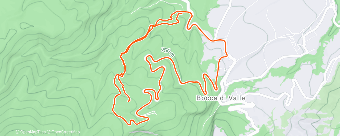 Map of the activity, Morning Ride
