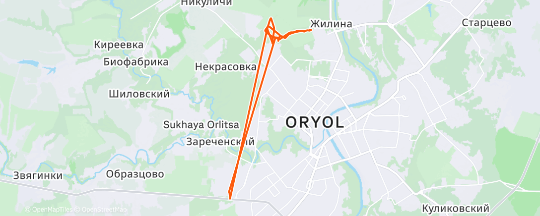 Карта физической активности (Morning Nordic Ski)