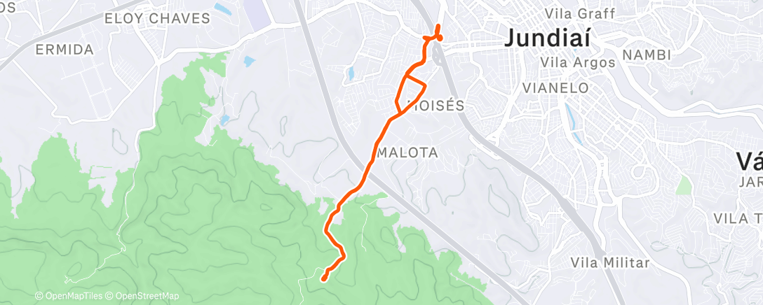 Карта физической активности (Morning Trail Run)