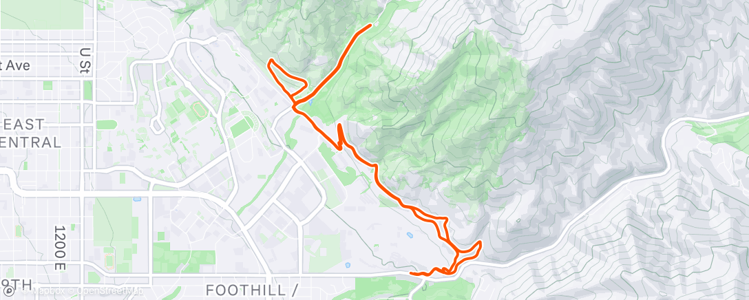 Map of the activity, Evening Run