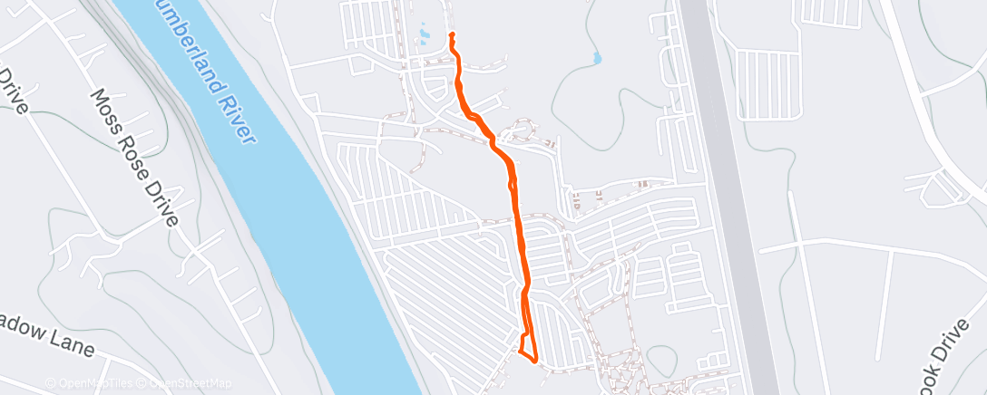 Map of the activity, Afternoon Walk