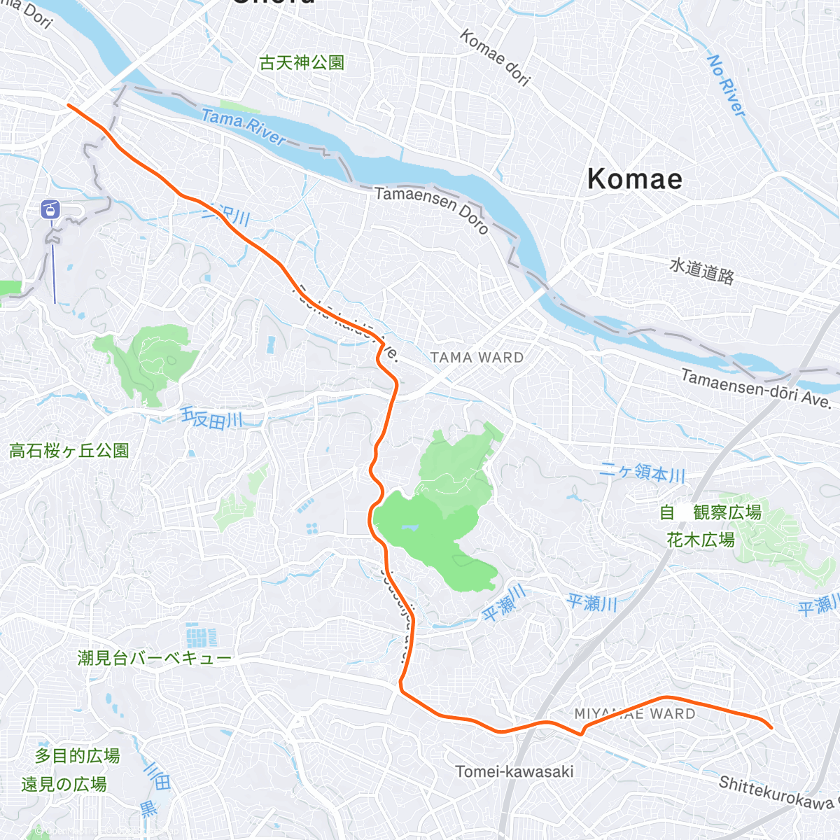 Map of the activity, 帰省一瞬麺納まらず
