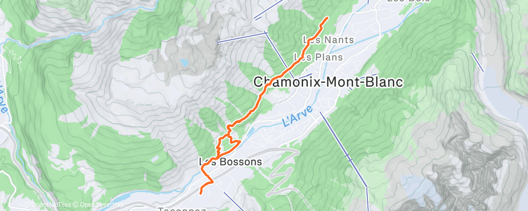 Карта физической активности (Footing long)