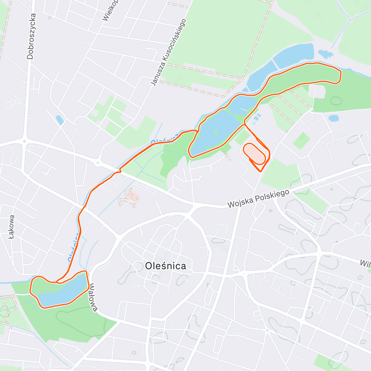 Карта физической активности (Babki w Biegu #50 🌟)