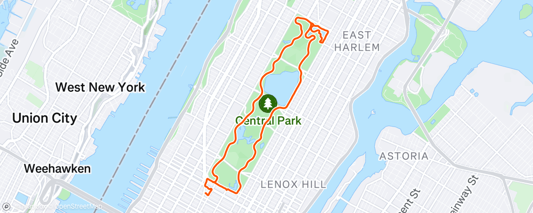 Map of the activity, Run Central Park 🥶