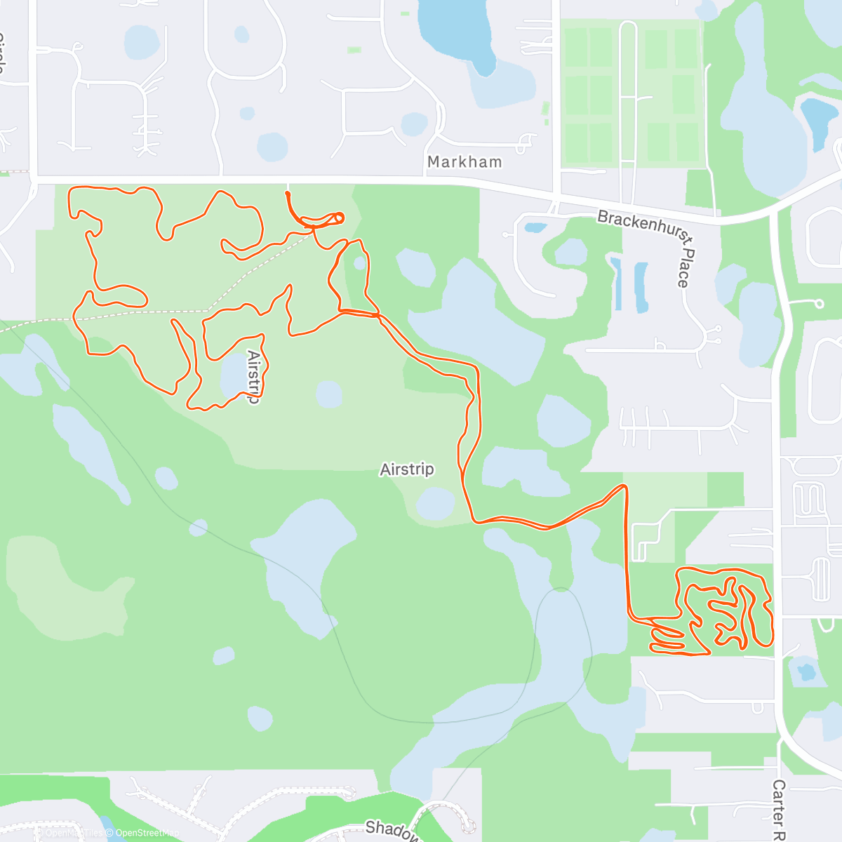 Карта физической активности (Monday)