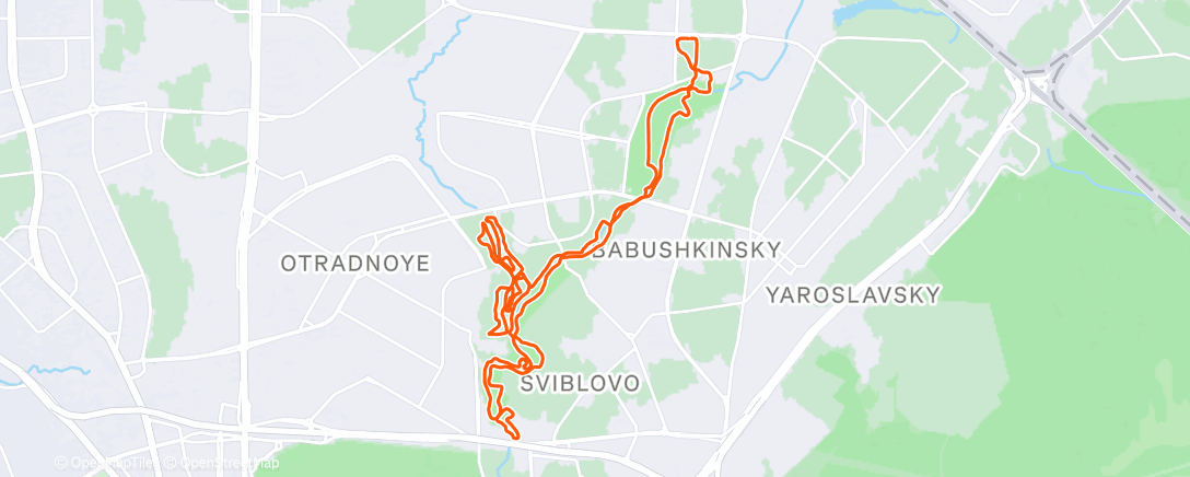 Map of the activity, Утренний забег