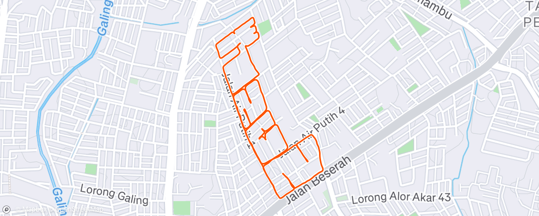 Map of the activity, 2024: Dec 31st Morning Run