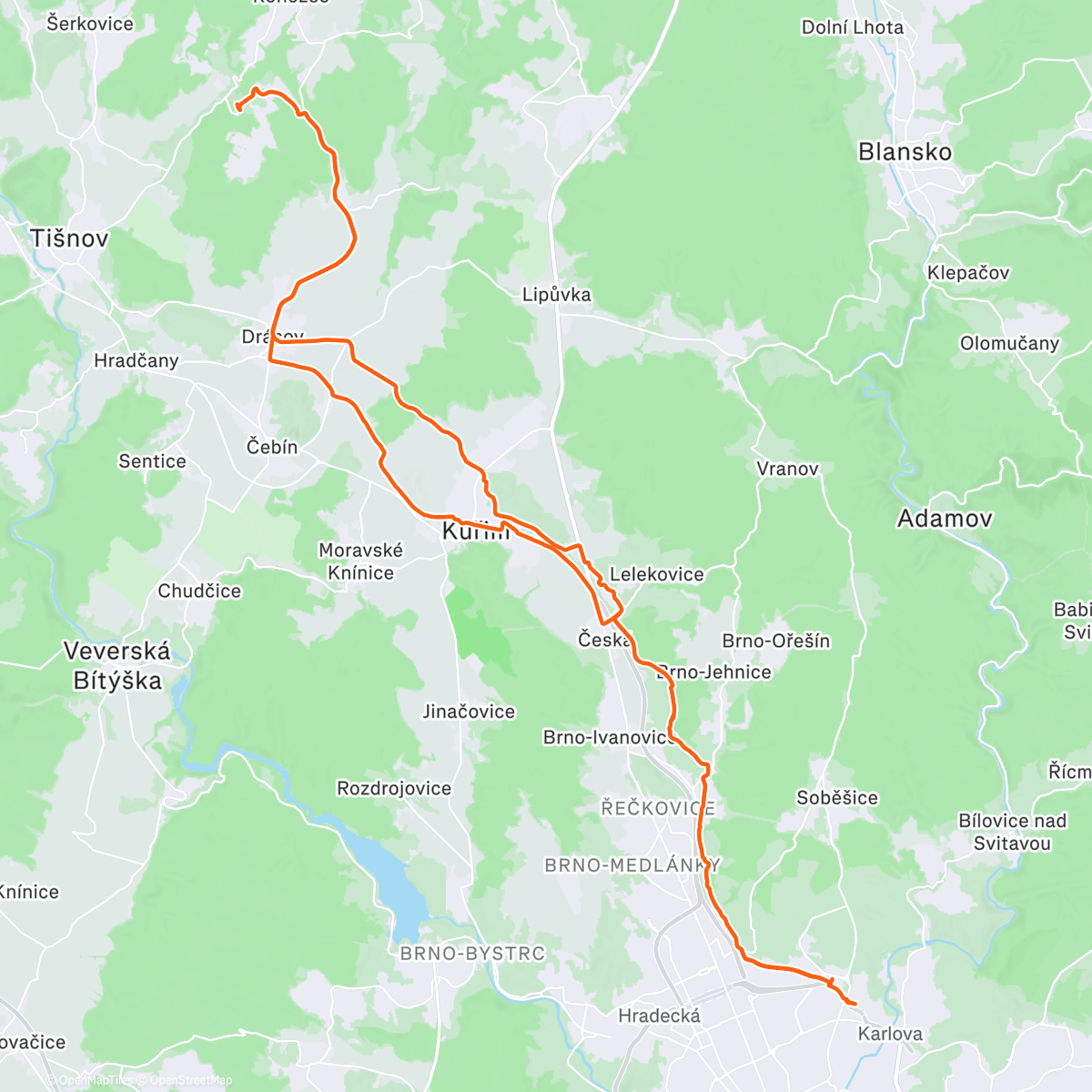 Карта физической активности (🐓😺)