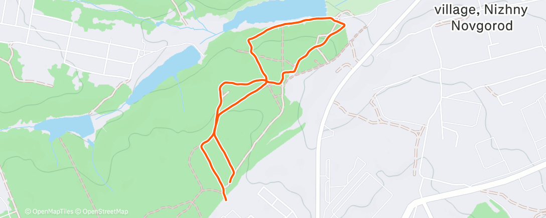 Карта физической активности (Утренний забег)