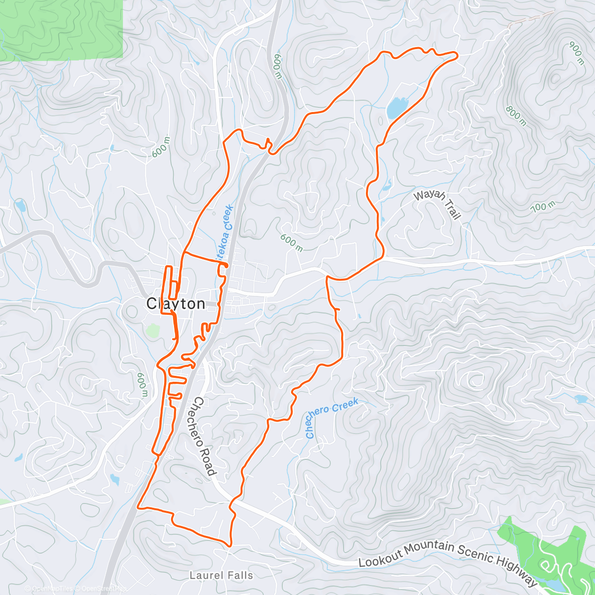 Карта физической активности (A very wet Clayton, Georgia)