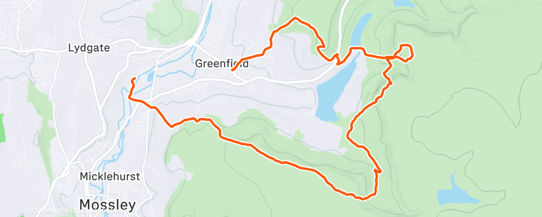 Map of the activity, Morning Run