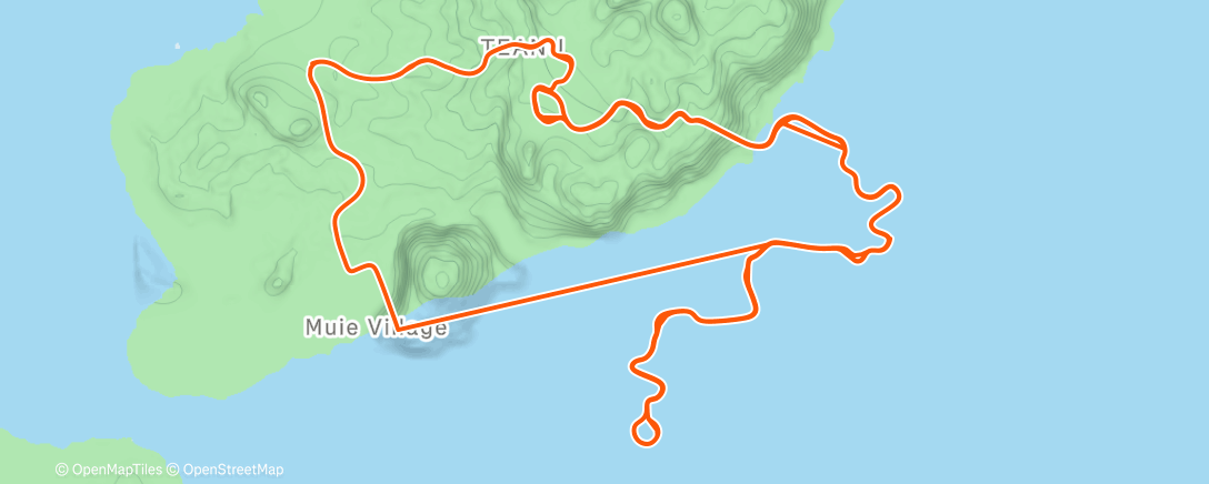 Карта физической активности (EF-VE)